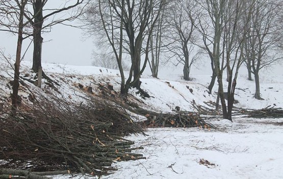 Sākušies koku izciršanas darbi Daugavpils cietoksnī