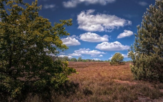 Nedēļas vidū kļūs siltāk