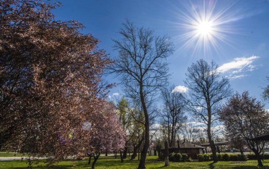 Pēcpusdienā gaiss iesils līdz +20 grādiem