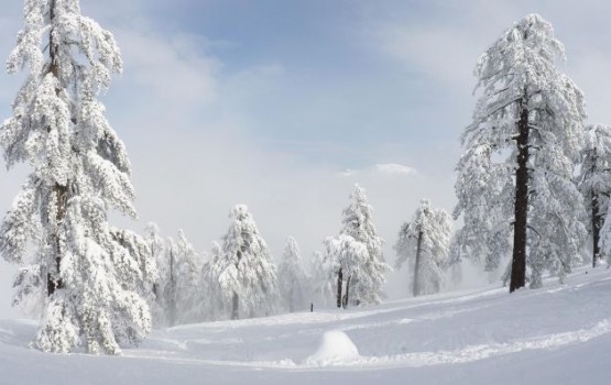 Nākamnedēļ pakāpeniski kļūs vēsāks, būs daudz nokrišņu