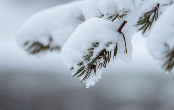 Sagatavojieties ziemai: sinoptiķi nosauc dienu, kad gaidāmas pirmās kupenas