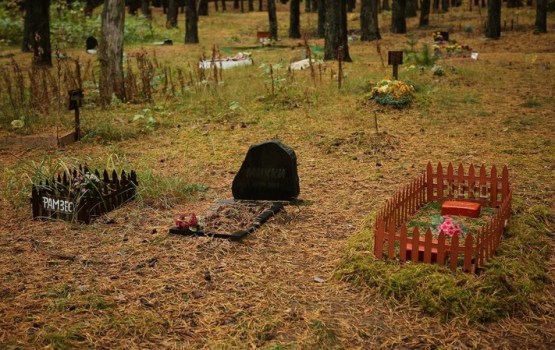 Daugavpils pašvaldība izvērtē, kur varētu izveidot dzīvnieku kapsētu