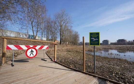 Putnu ligzdošanas laikā līdz 1. augustam slēgta daļa Esplanādes purva takas
