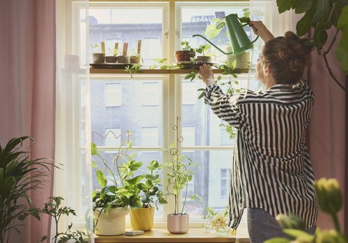 No palodzēm līdz plauktiem – idejas pavasara stādu integrēšanai interjerā