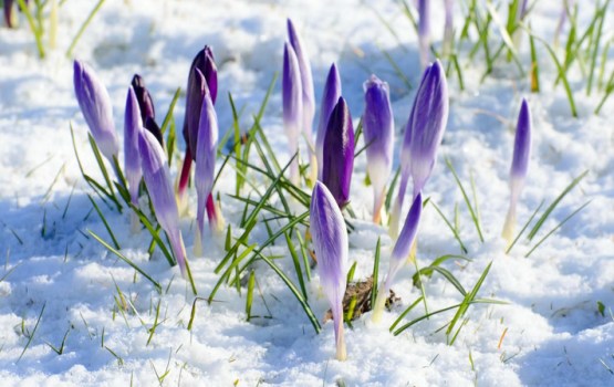 Aukstums atgriežas - gaidāmi nokrišņi, vējš un sals naktīs