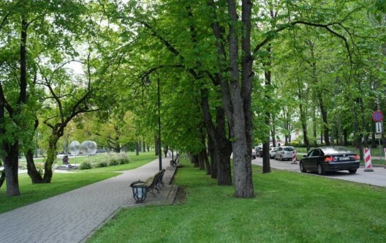 Dubrovina parka apkārtnē vairākas dienas būs spēkā satiksmes ierobežojumi