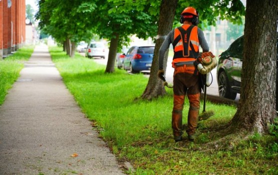 Daugavpilī turpinās zāles pļaušanas darbi vairākās apkaimēs