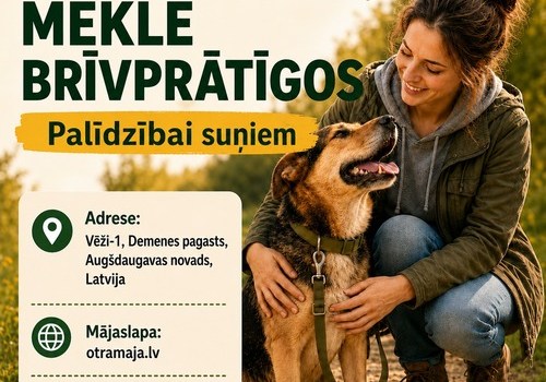 Patversme "Otrā māja" meklē brīvprātīgos palīdzībai suņiem