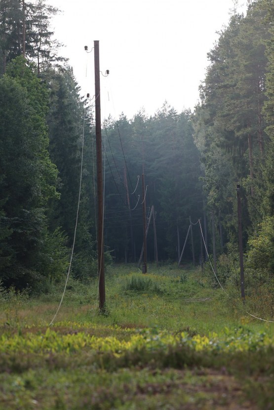 Pēc vētras postījumiem paplašinās no kokiem attīrāmās elektrolīniju trases