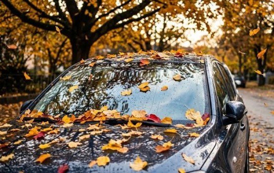 Rudenī uz automašīnām krājas slapjas lapas: kāpēc tās nevajadzētu atstāt uz virsbūves?